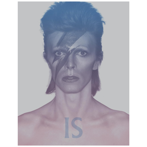 David Bowie Is: Inside the Visionary World of David Bowie By Victoria Broackes and Geoffrey Marsh