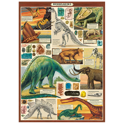 Dinosaurs 2 Poster - Cavallini Poster Wrap