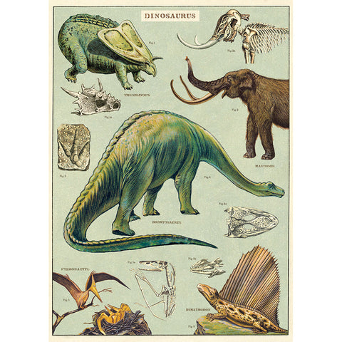 Dinosaurs Poster - Cavallini Poster Wrap