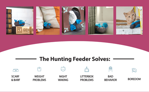 Doc & Phoebe's Indoor Hunting Cat Feeder