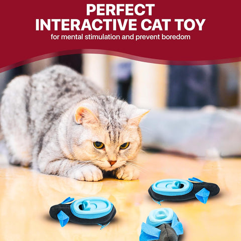 Doc & Phoebe's Indoor Hunting Cat Feeder