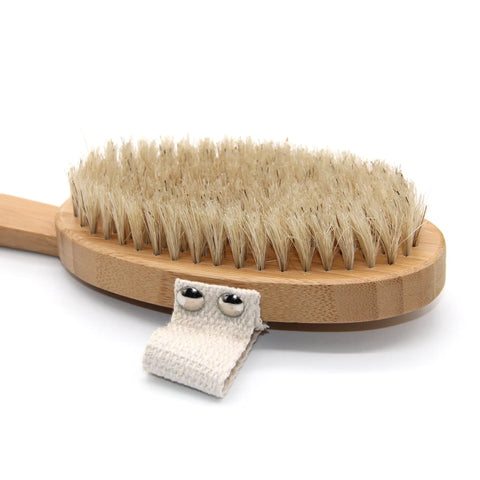 Dry/Wet Long Handle Body Brush - Zefiro