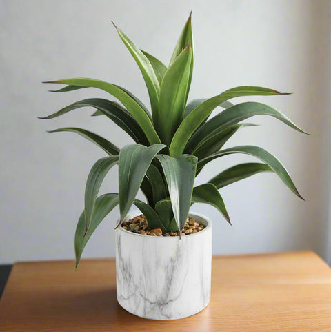 artificial agave potted plant Faux Agave In Marble Pot – Belleville Market