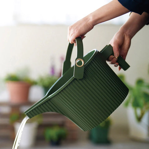 Hachiman Garden Beetle Watering Can, Large - Garden Green