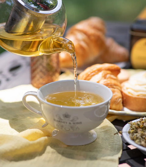 Harney & Sons Egyptian Chamomile Tea