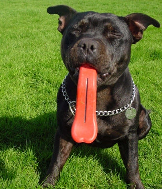 Humunga Tongue Interactive Dog Toy
