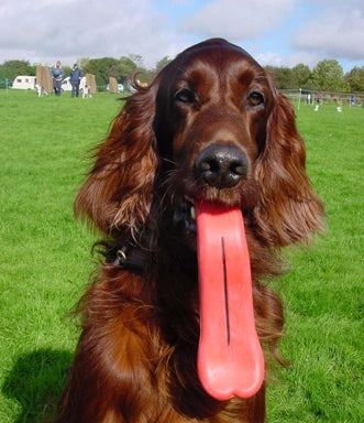 Humunga Tongue Interactive Dog Toy
