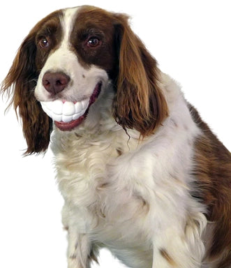 Humunga Chomp Interactive Dog Toy