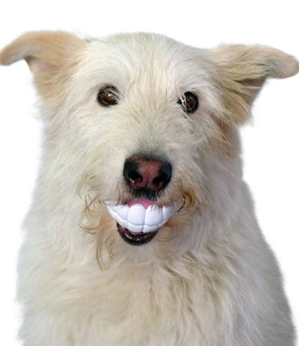 Humunga Chomp Interactive Dog Toy