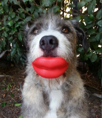 Humunga Lips Interactive Dog Toy