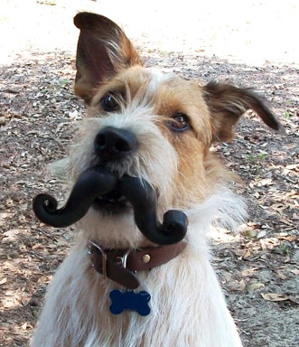 Humunga Stache Interactive Dog Toy