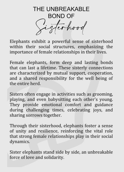 Story ornament- Elephants- The unbreakable bond sisterhood, 3.5 x 4", wood