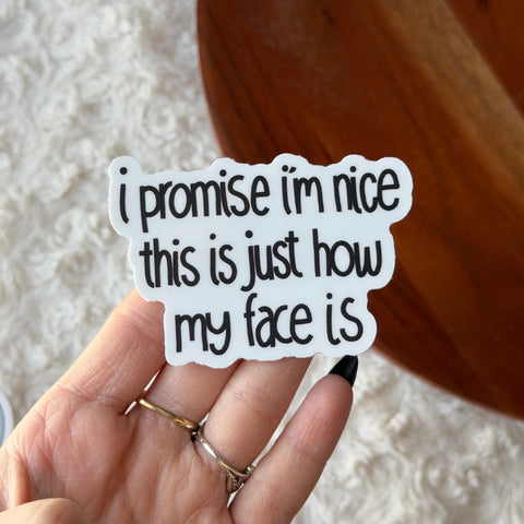 I Promise I'm Nice Vinyl Sticker