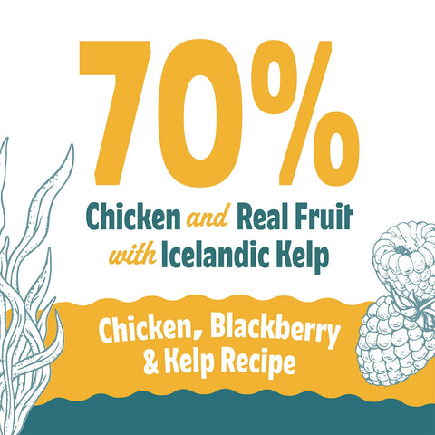 Icelandic+ Soft & Chewy Bites For Cats - Chicken, Blackberry & Kelp Recipe