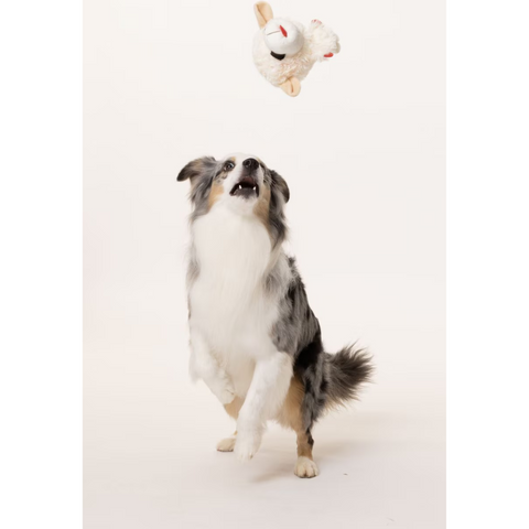 Lamb Chop Knobby Noggins Dog Toy, 5"