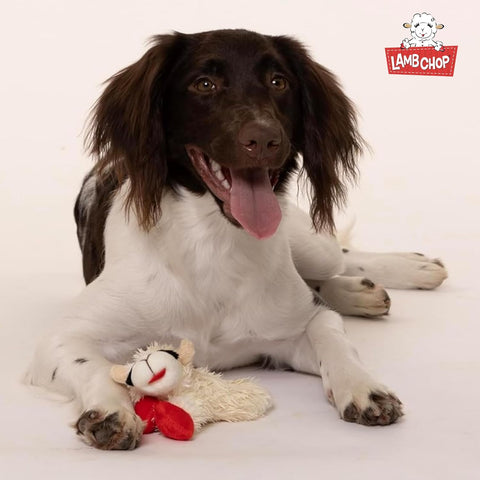 Lamb Chop Plush Dog Toy 6"