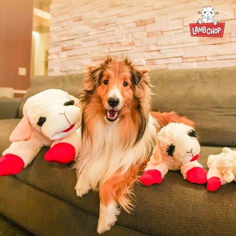 Lamb Chop Plush Dog Toy Jumbo 24"