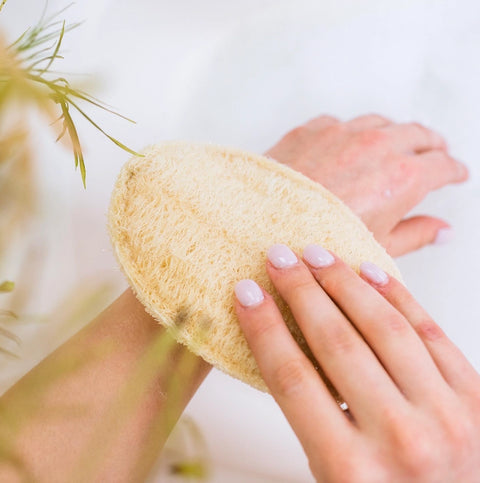 Large Oval Exfoliating Loofah