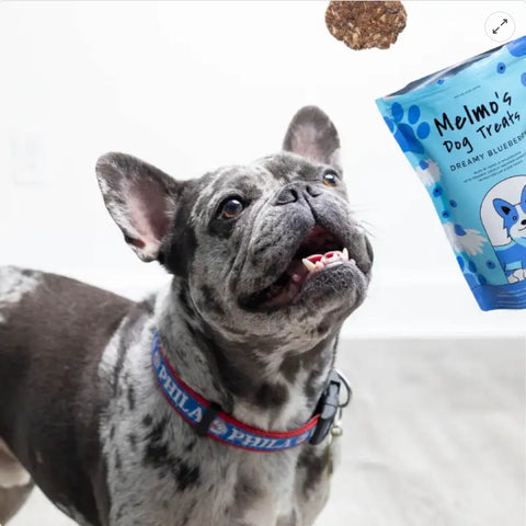 Melmo's Dog Treats - Dreamy Blueberry