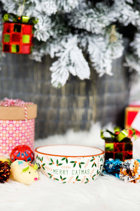 Merry Catmas Feeding Bowl