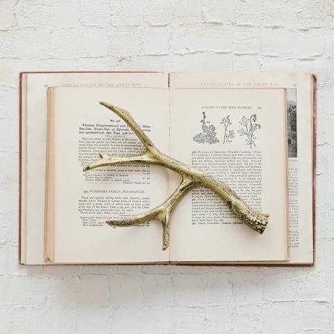 Midas Cast Iron Antler