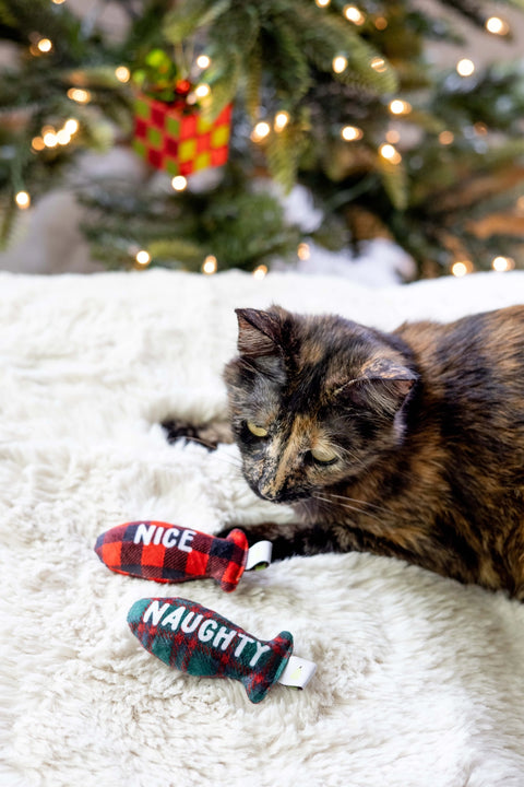 Naughty Or Nice Cat Toy Set