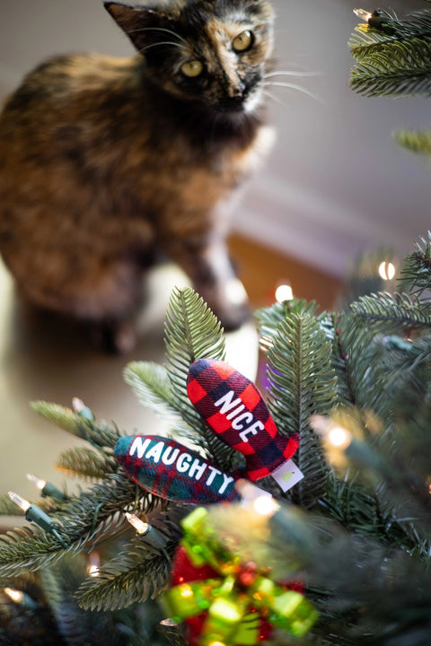 Naughty Or Nice Cat Toy Set