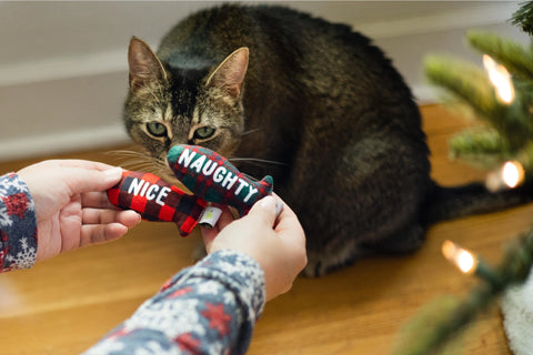 Naughty Or Nice Cat Toy Set
