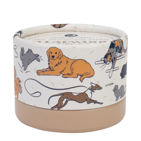 Northern Lights PawsON Odor Neutralizing Candle - Cedarwood & Birch