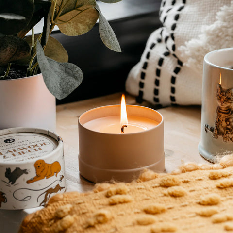 Northern Lights PawsON Odor Neutralizing Candle - Cedarwood & Birch