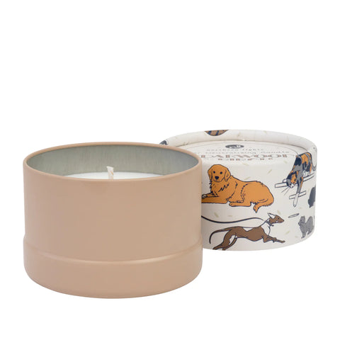 Northern Lights PawsON Odor Neutralizing Candle - Cedarwood & Birch