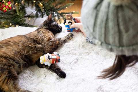 Nutcracker Cat Toy Set