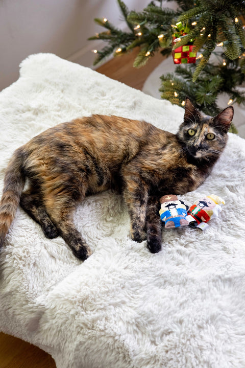 Nutcracker Cat Toy Set