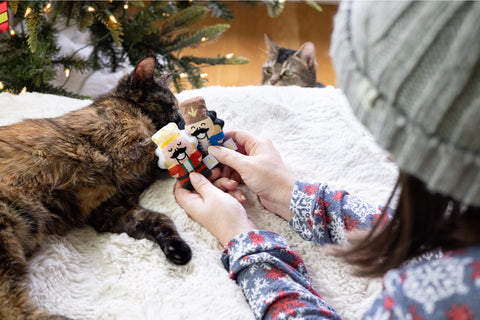 Nutcracker Cat Toy Set