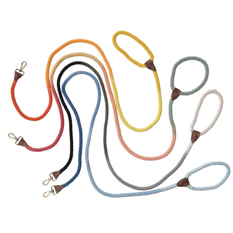 Ombre Braided Cotton Rope & Leather Dog Leash, Yellow to Orange