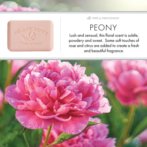 Peony French Quad-Milled Soap - Pré de Provence