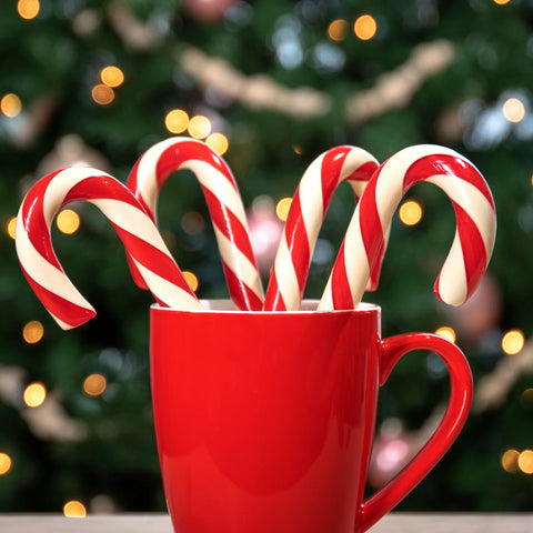 Hammond's Hand-Spun Jumbo Candy Cane - Peppermint