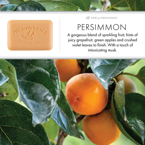 Persimmon French Quad-Milled Soap - Pré de Provence