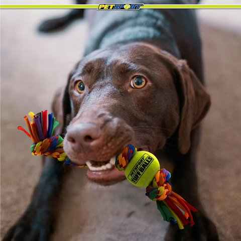 PetSport Kaleidoscope Rope 3-Knot w/ 1.5" Ball 8"