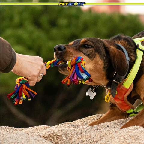 PetSport Kaleidoscope Rope 2-Knot 10"