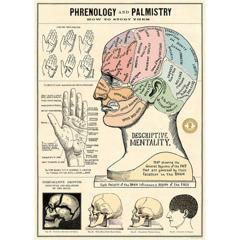 Phrenology And Palmistry - Cavallini Poster Wrap