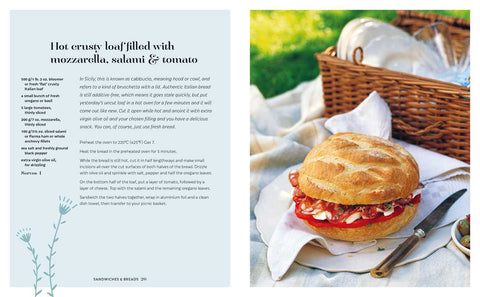 Picnic: Tempting Transportable Recipes for Outdoor Eating By Ryland Peters