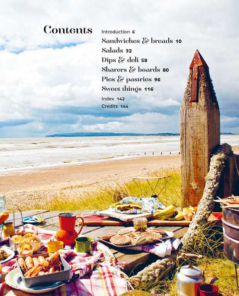 Picnic: Tempting Transportable Recipes for Outdoor Eating By Ryland Peters