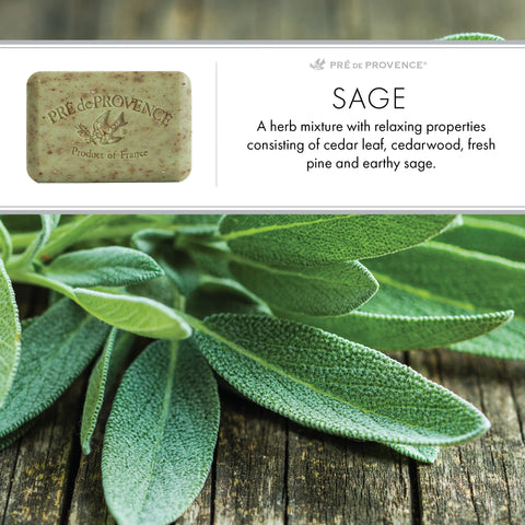 Sage French Quad-Milled Soap - Pré de Provence