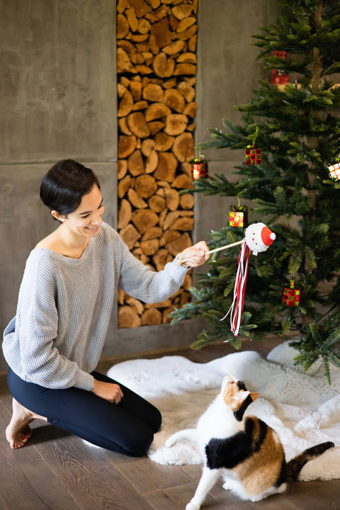 Santa Cat Teaser Toy