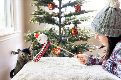 Santa Cat Teaser Toy