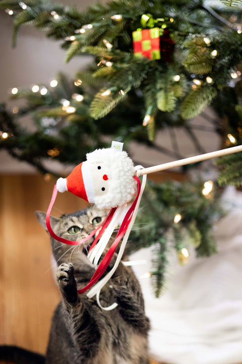 Santa Cat Teaser Toy