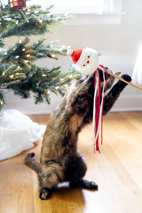 Santa Cat Teaser Toy