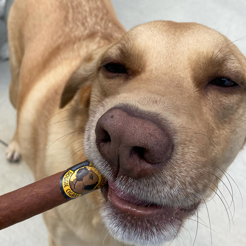 Bowser Doggie Sausage Cigar - Lamb