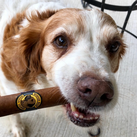 Bowser Doggie Sausage Cigar - Beef